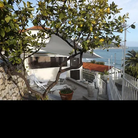 Momart Guest house *