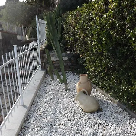 Momart * Marina dʼAndora